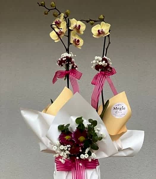 Sarı Çift Dallı Orkide