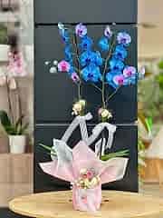 Açık Mavi Çift Dallı Orkide