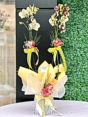 Kırmızı Benekli Sarı Orkide