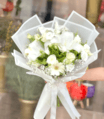 Bembeyaz Kız İsteme Çiçeği