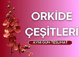 Öneçıkan Ürün